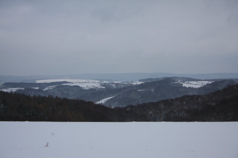 Winter 17.12.2010 008.JPG